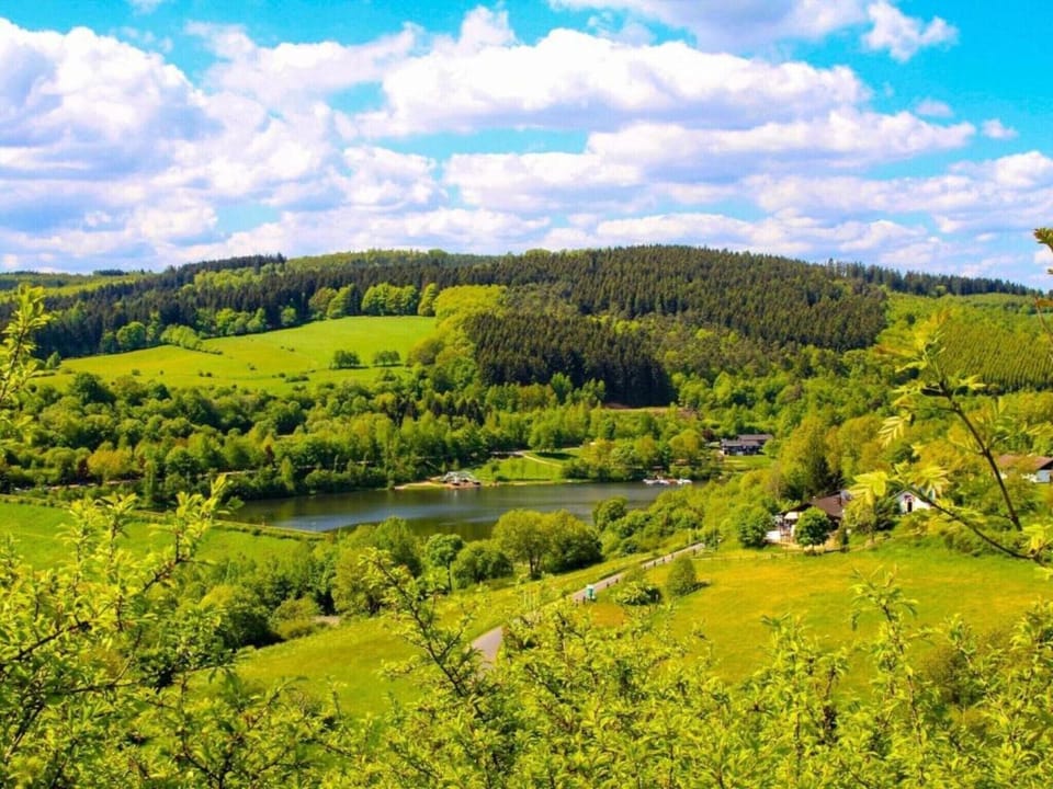Region [summer] (>5 km)