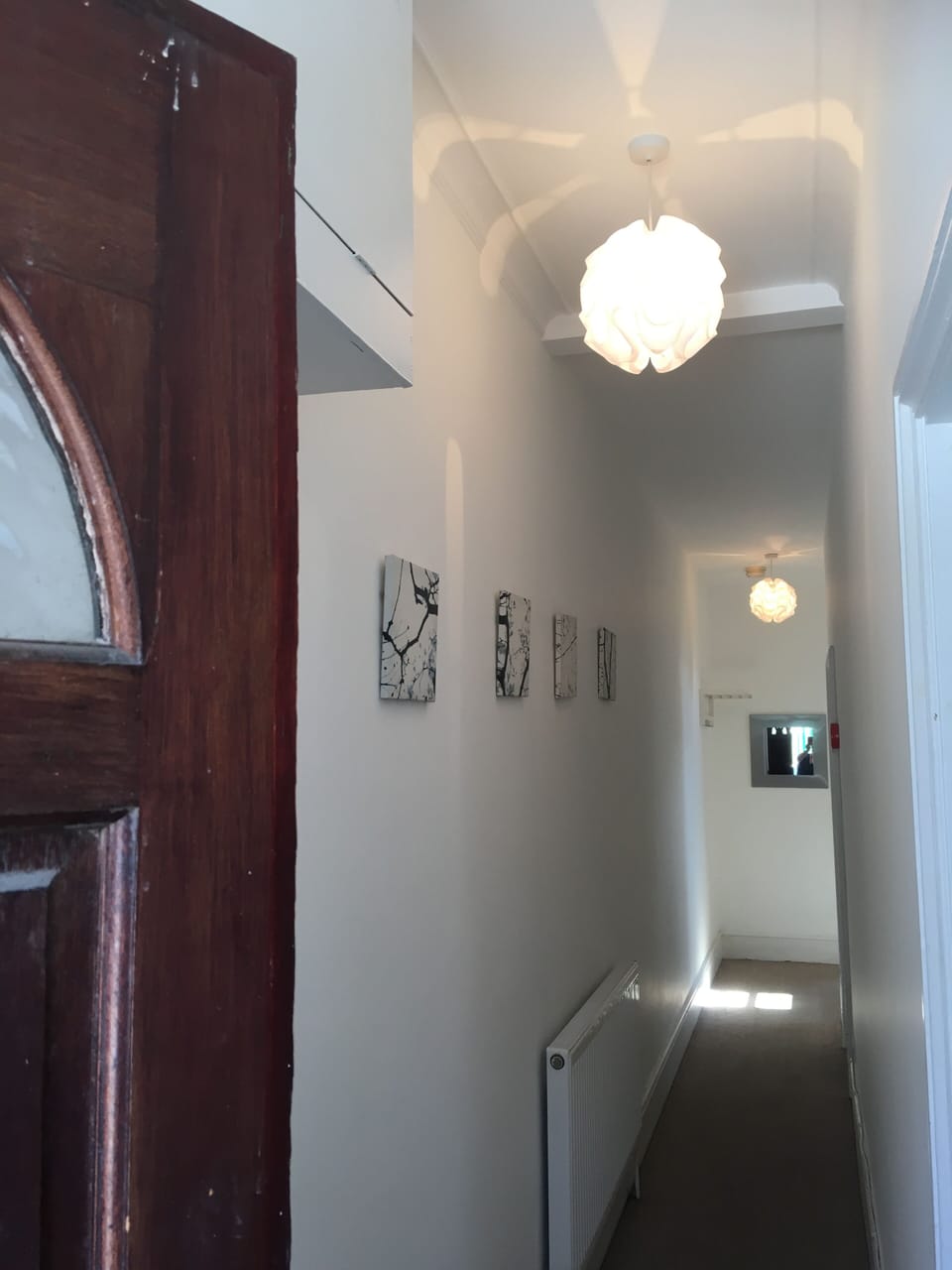Welcome to Orchid House!