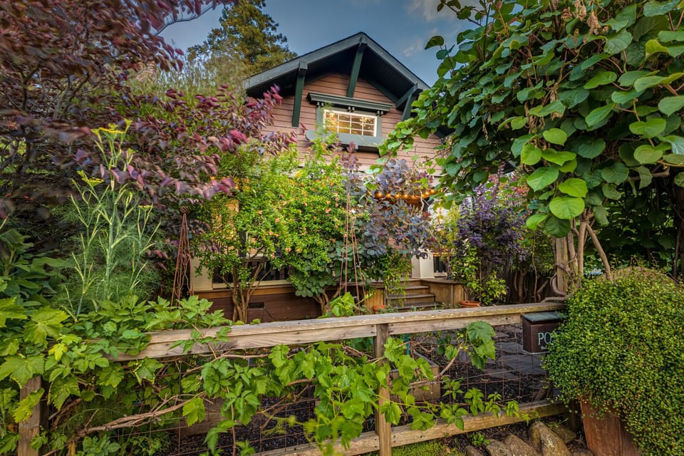 The Roost in full bloom!