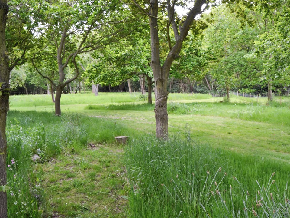 Extensive shared gardens | Courtyard Barn - Stone House Farm, Lessingham, near Stalham