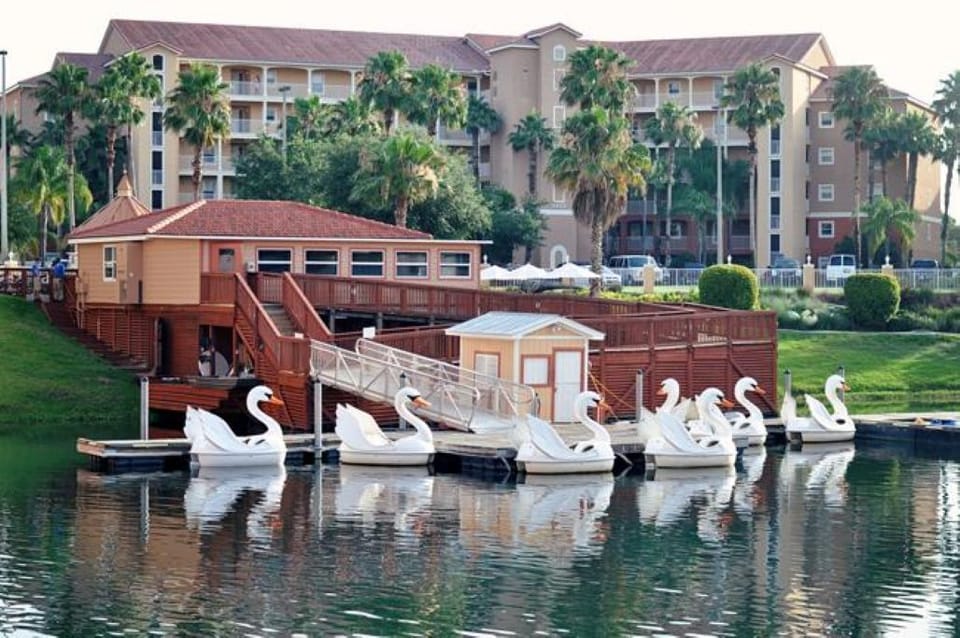 Swanboats for rent