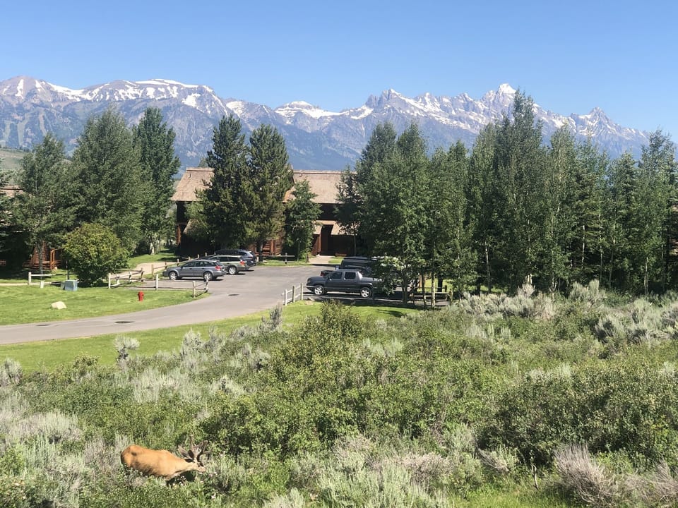 View from the back deck