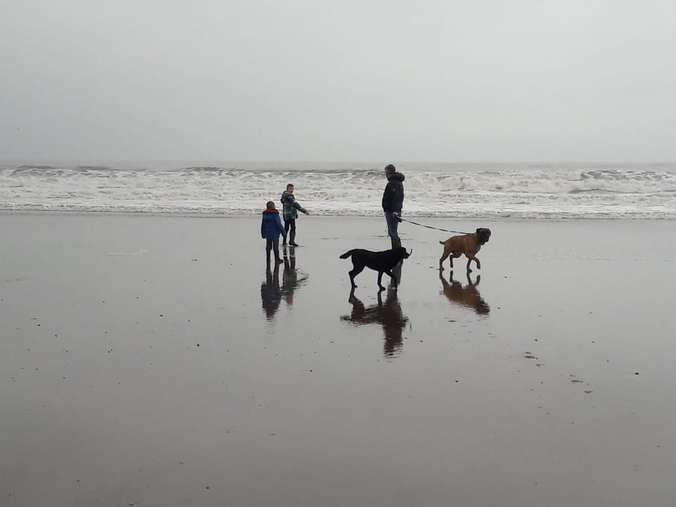 stroll on beach