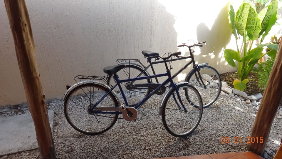 You have 4 bicycles 