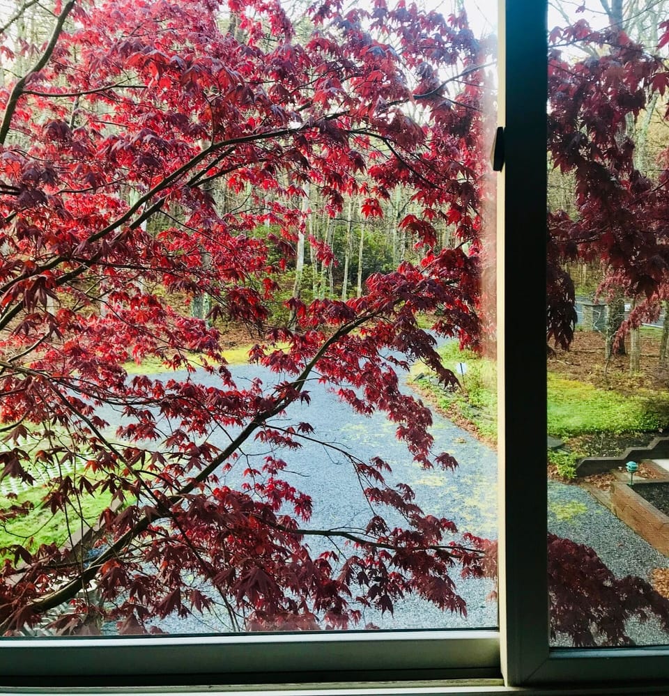 A view from the main floor bedroom.