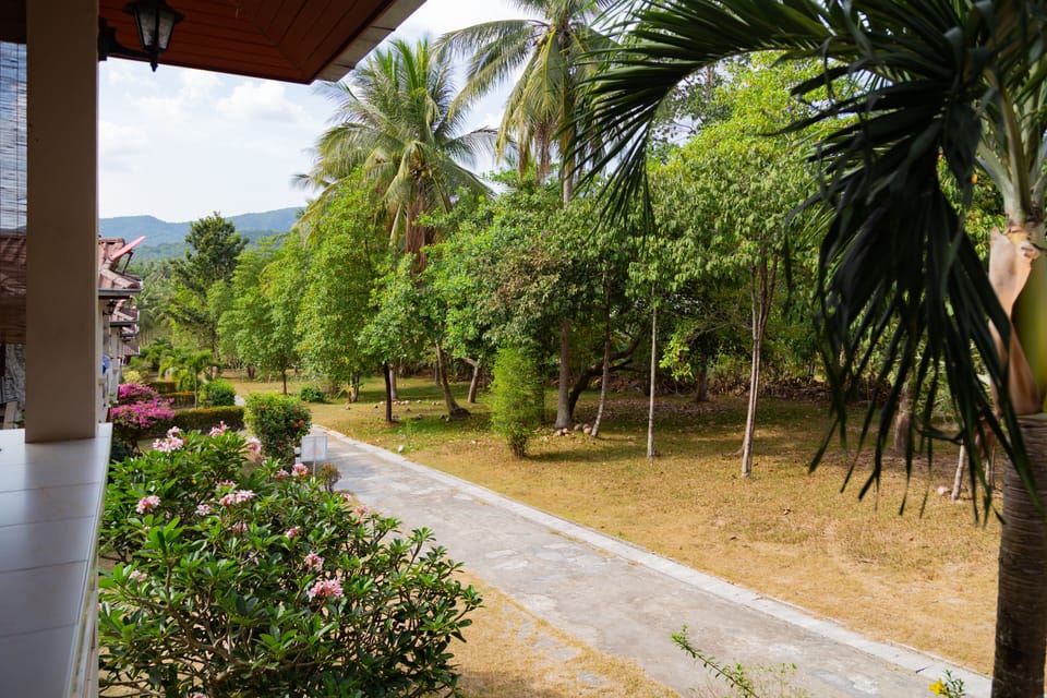 Beautiful garden view from the veranda.