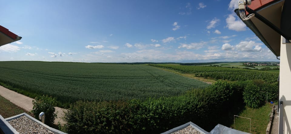 View from property