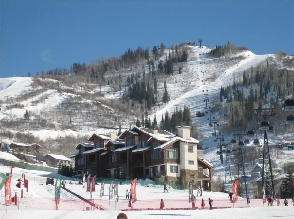 Looking up to midmounain from the base .