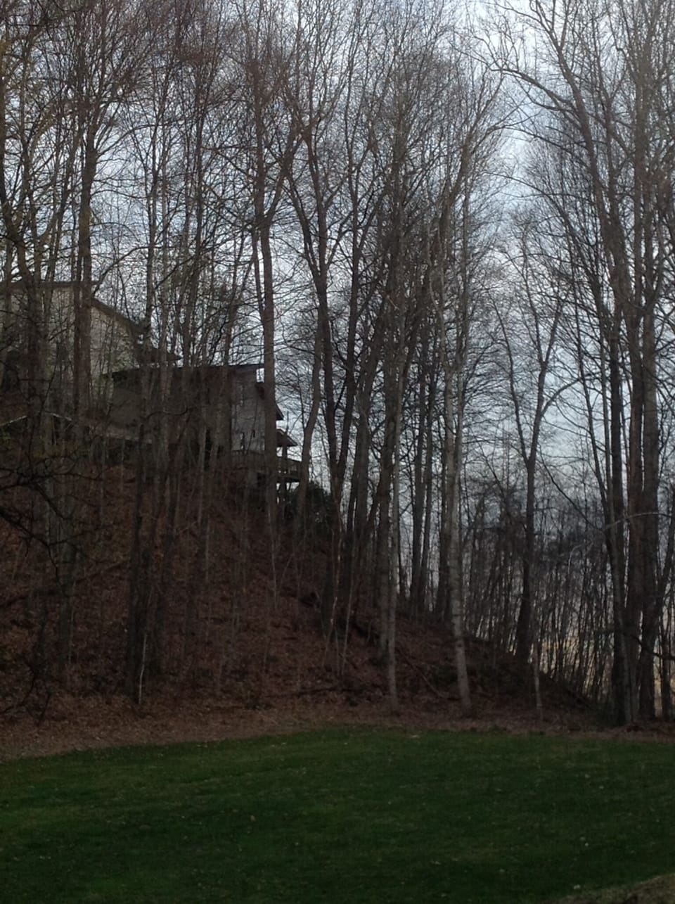 Our property sits separate, and a little lower from the rest of the villas.