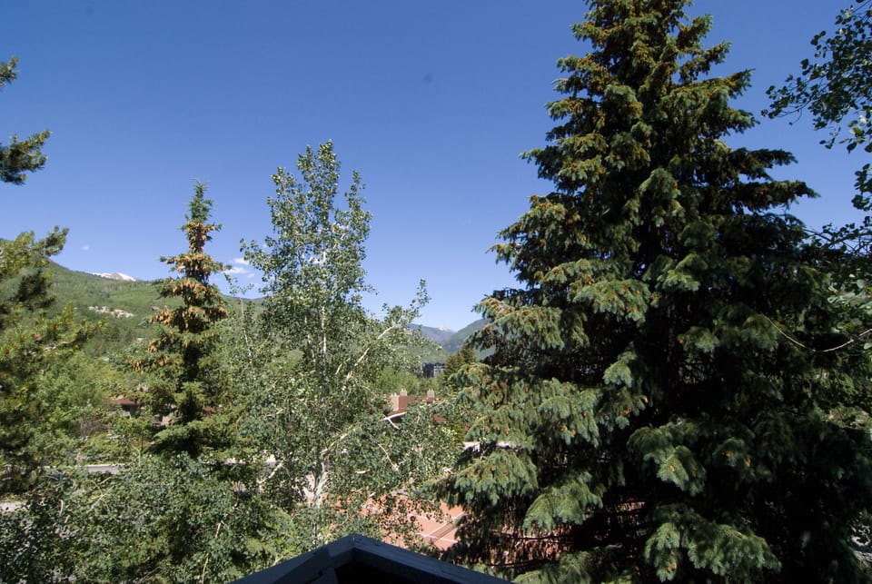 View of Vail Mountain