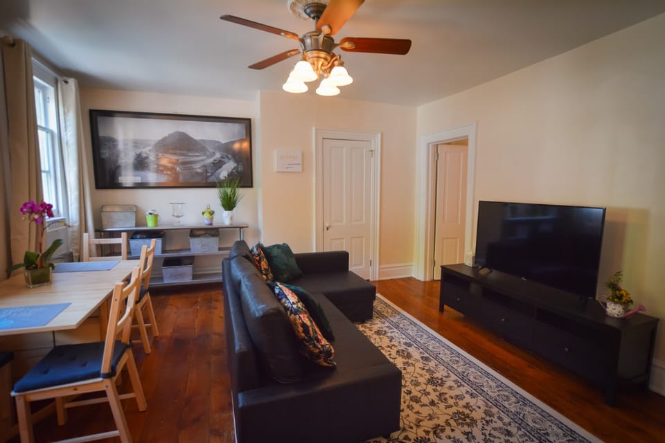 65 inch TV roku Netflix, hulu, and HBO to go, your cinema at home