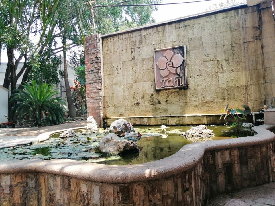 Tahi Orquideas y Flores Exoticas