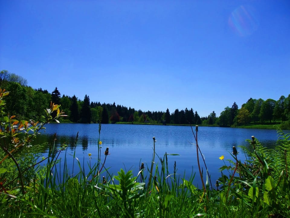 Lake