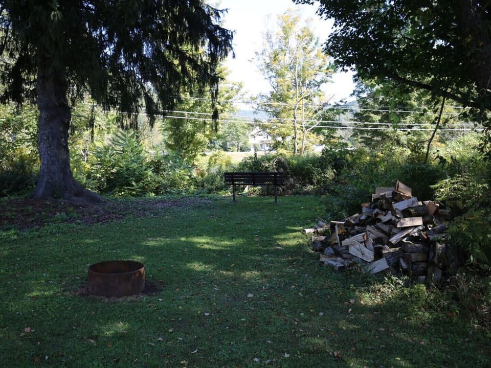 Firepit at Cabin and Riverfront