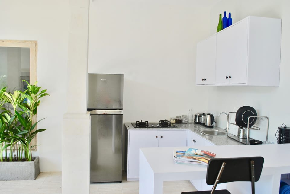 Fully-equipped kitchen - professional chefs knives, microwave, gas stove etc