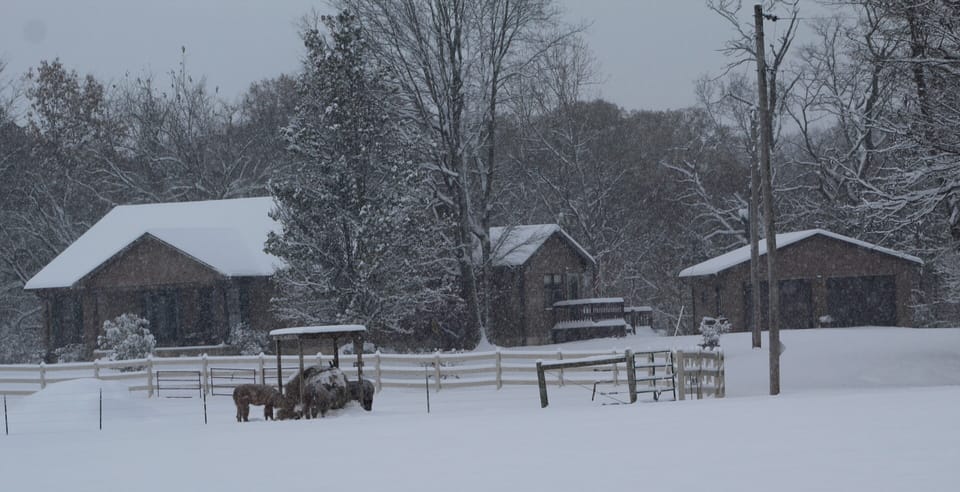 Winter in the country.