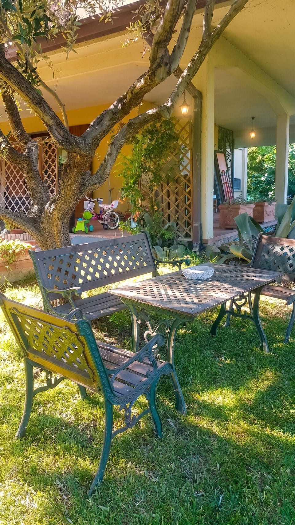 Terrace