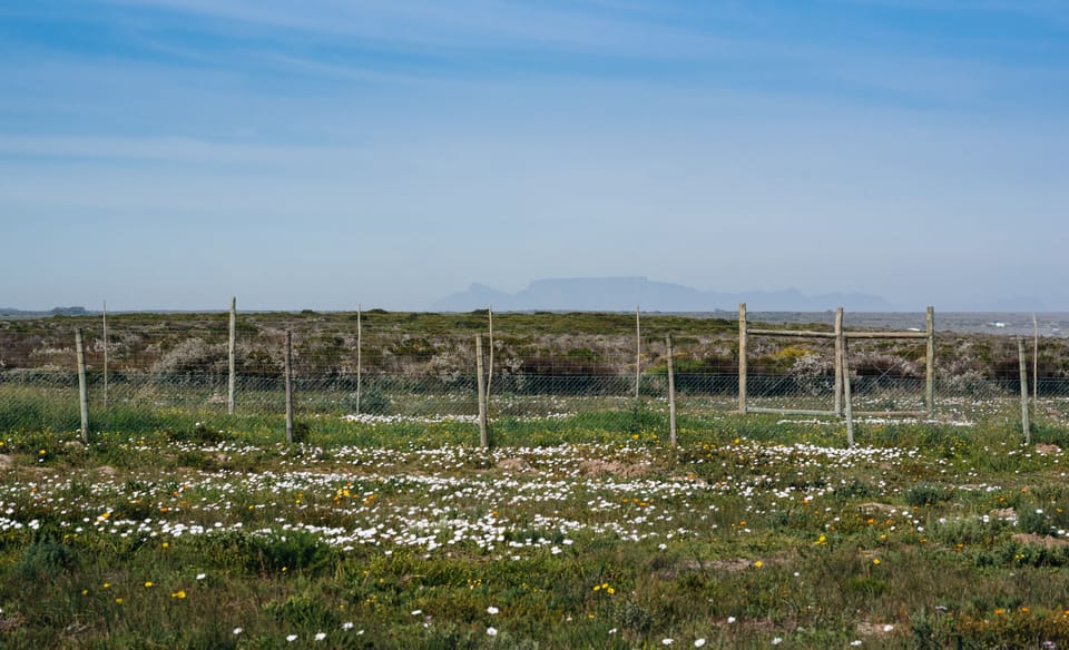 View of Table Mountain