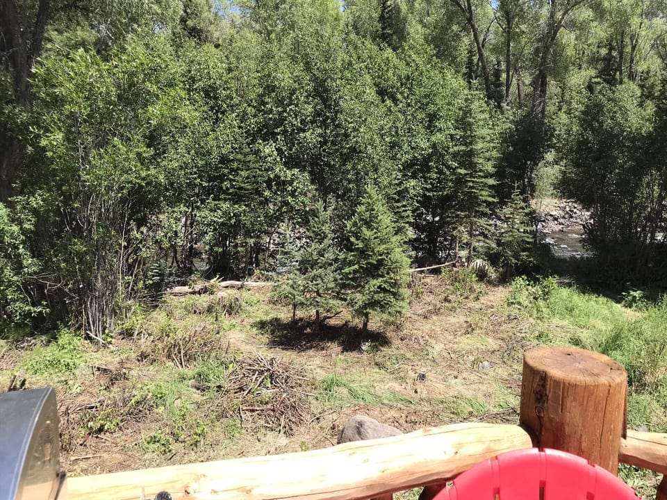 View From Back Deck of Cabin