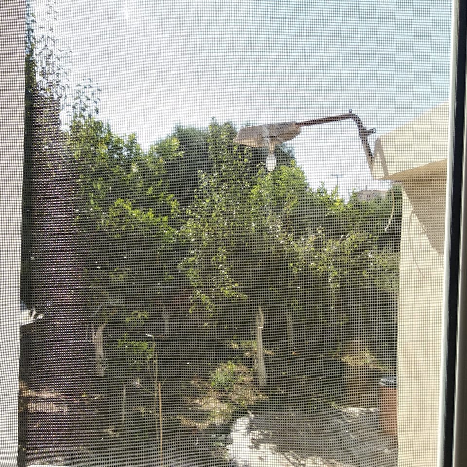 View from property