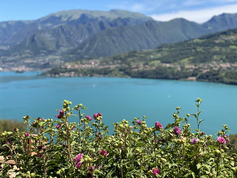 The view from our terrace is spectacular