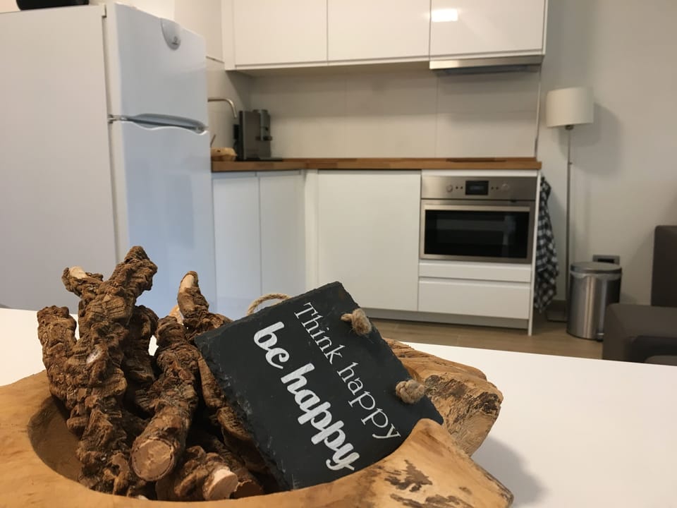 Rich equipped kitchen. Washing machine, dish washer, microwave, oven, big fridge