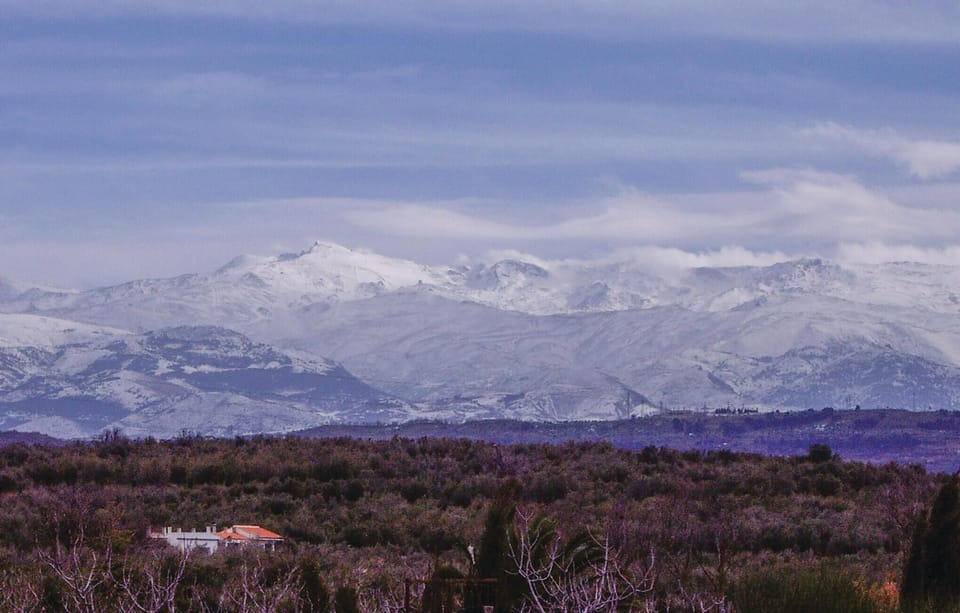 area
