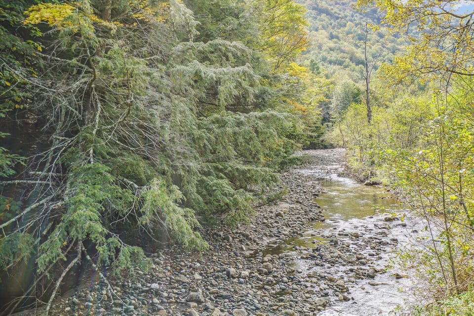 Plenty of nature to enjoy!