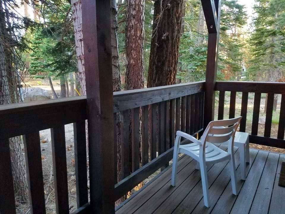 Private Deck overlooking the forest