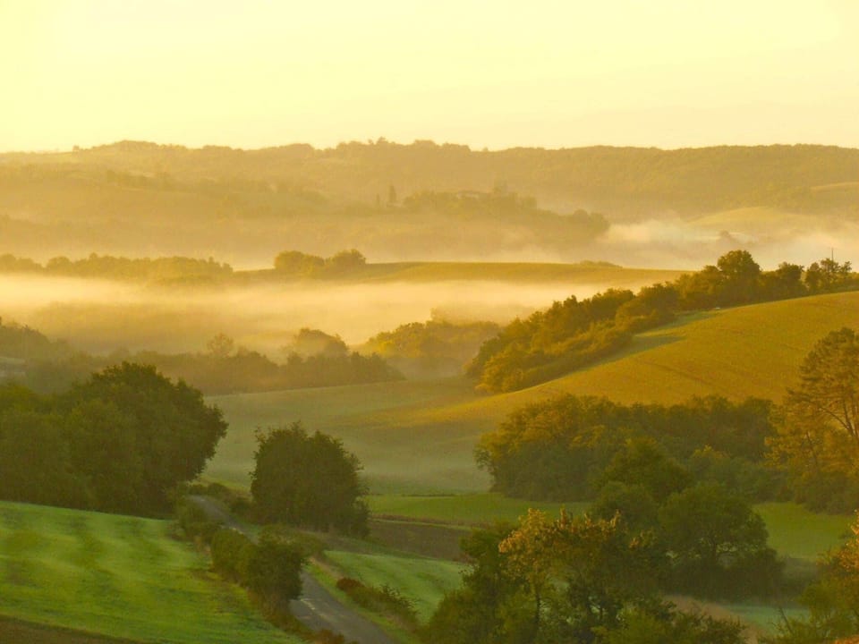 Region [summer] (>5 km)