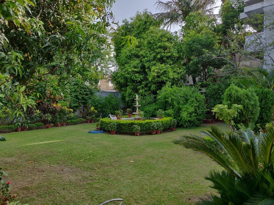 Garden area