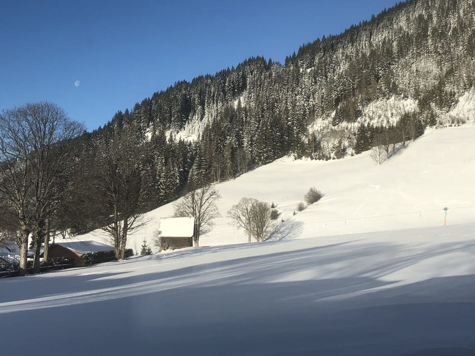 Snow and ski sports