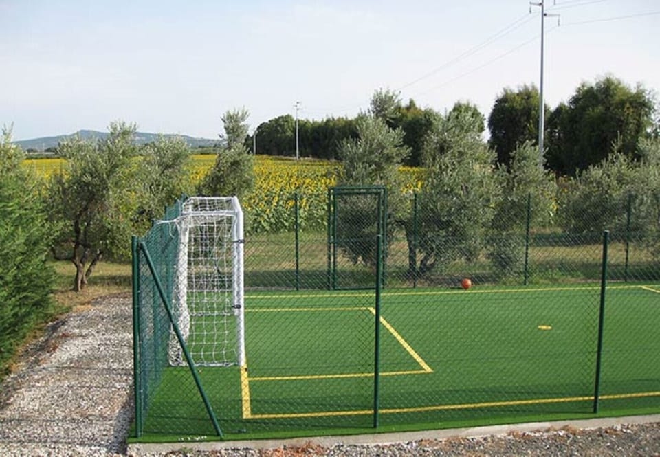 Sport court