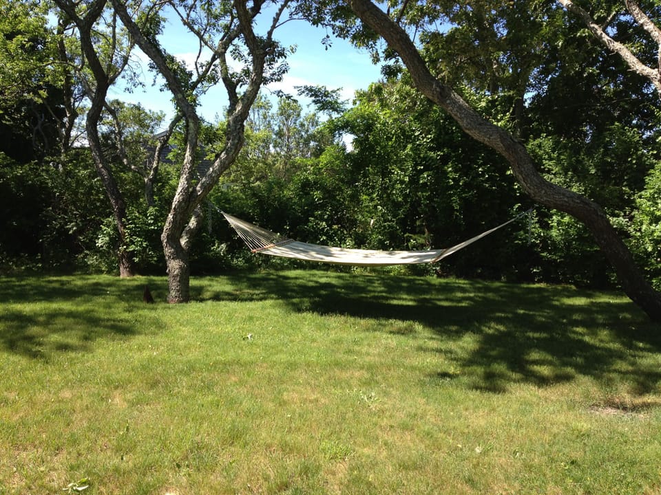 Large shady back yard with hammock