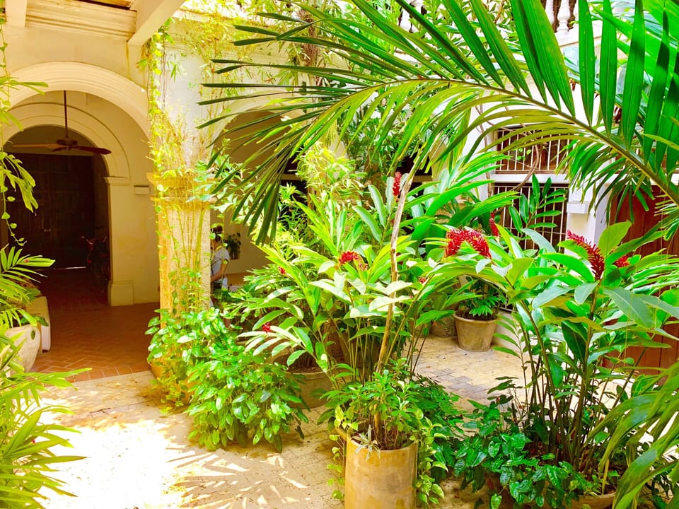 Courtyard garden