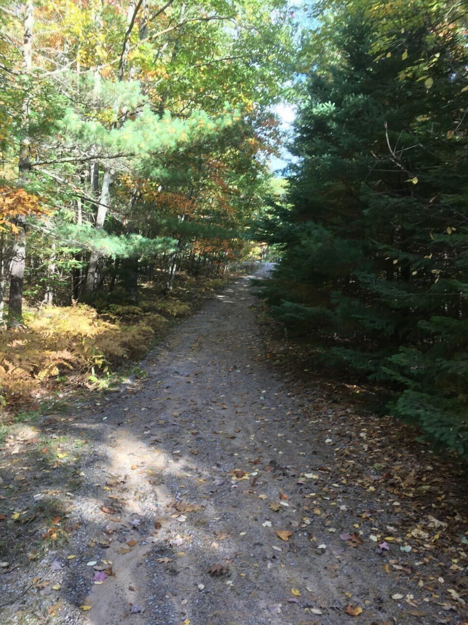 Sturgeon Bay Nature Preserve path located across the street from the cabin
