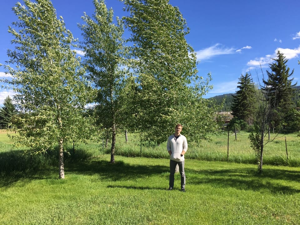 the backyard.