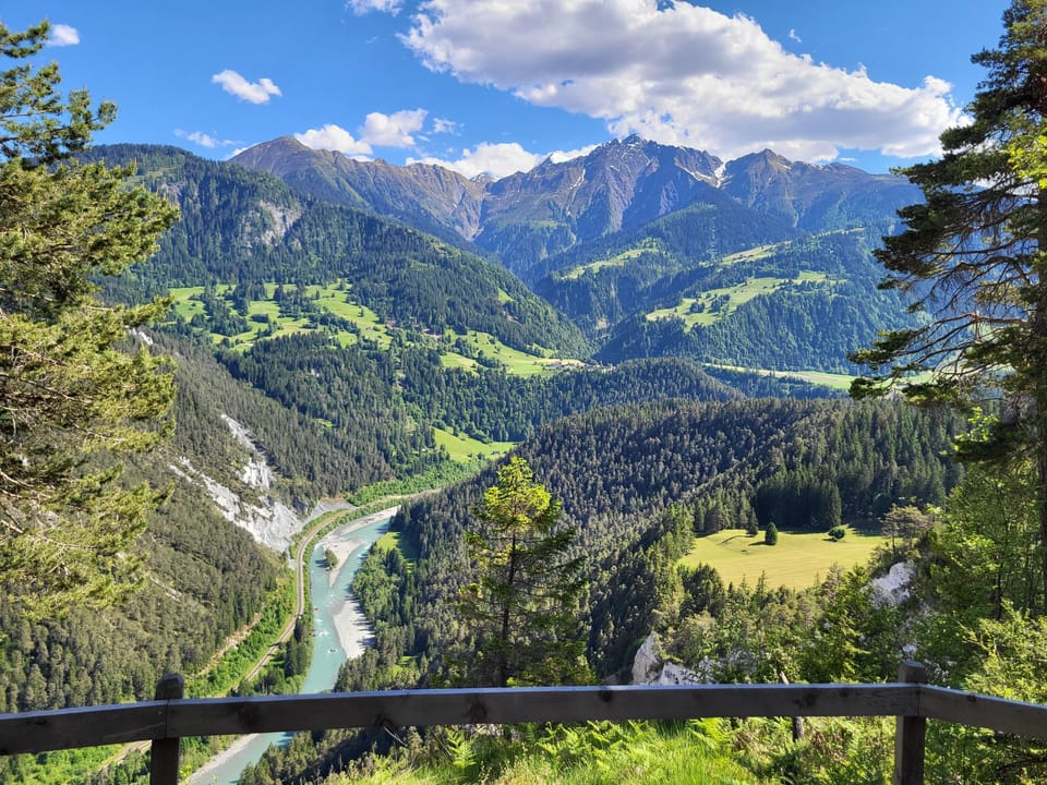 Rhine