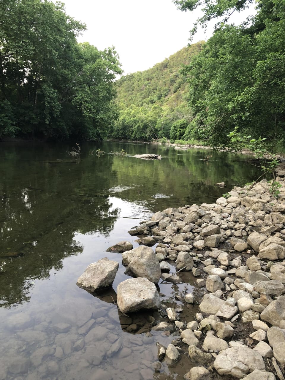 Cottage River frontage (100 ft.)