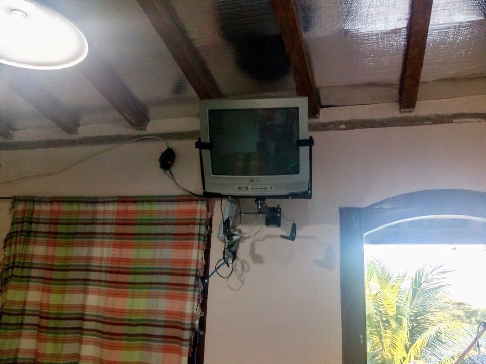 Television