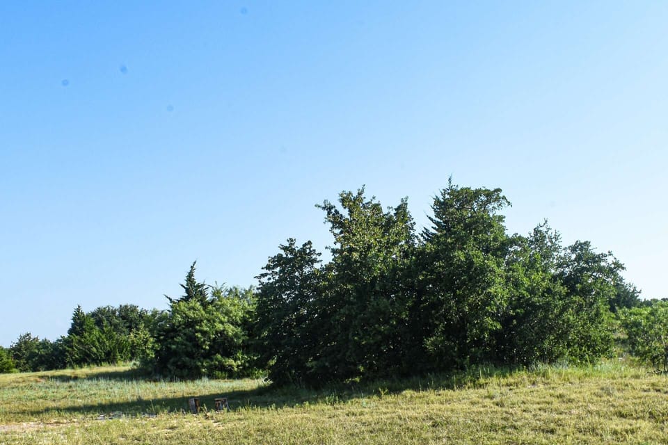 7 Acres to walk and Enjoy the Fresh Air!