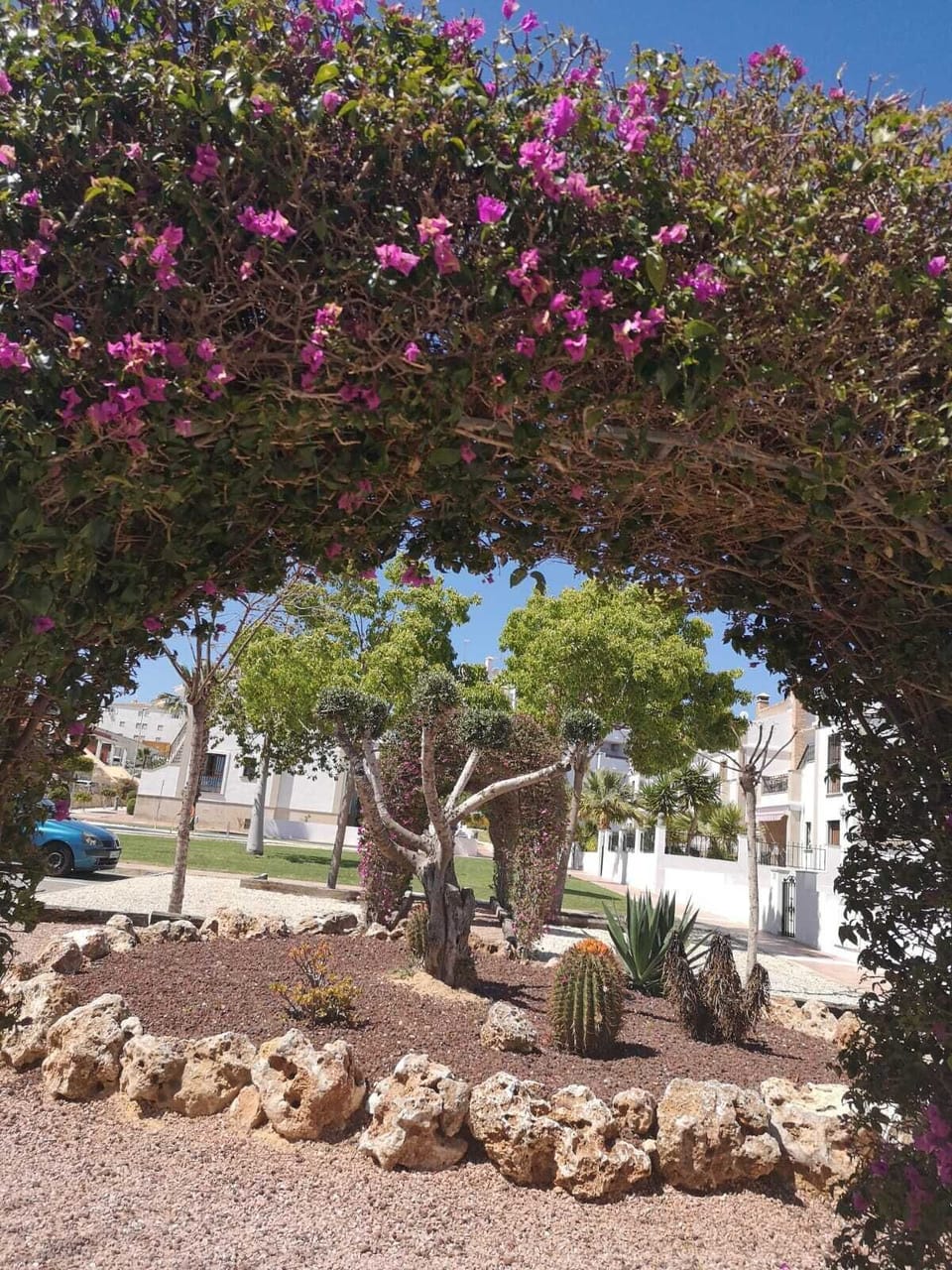 beautiful surrounding gardens 