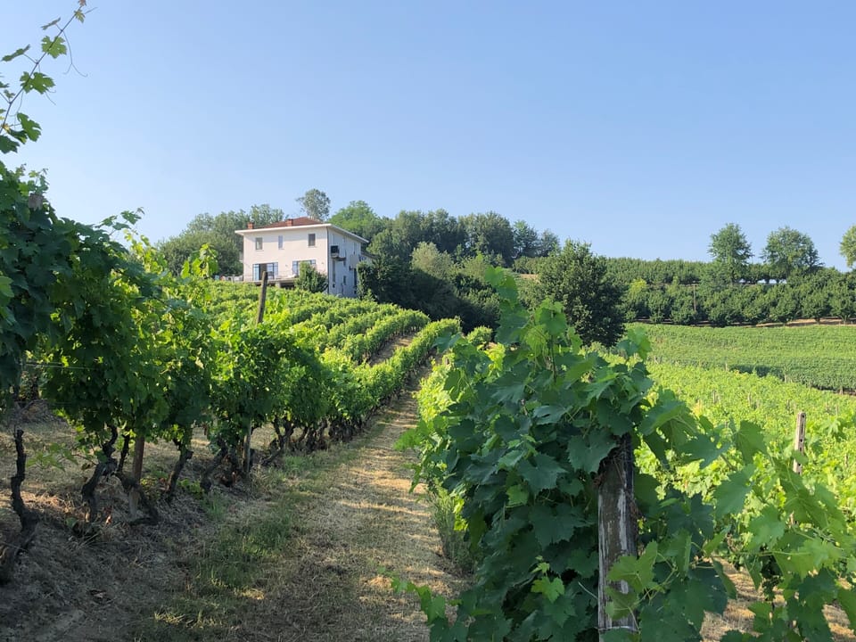 The villa seen from our vineyard