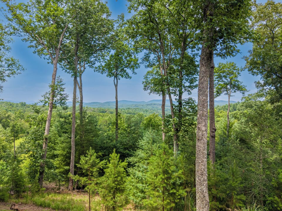 Drink Up The View - Vast Mountain Views
