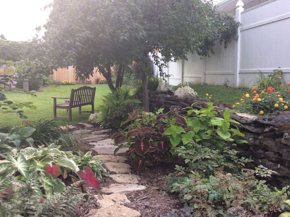 Shade garden and garden bench