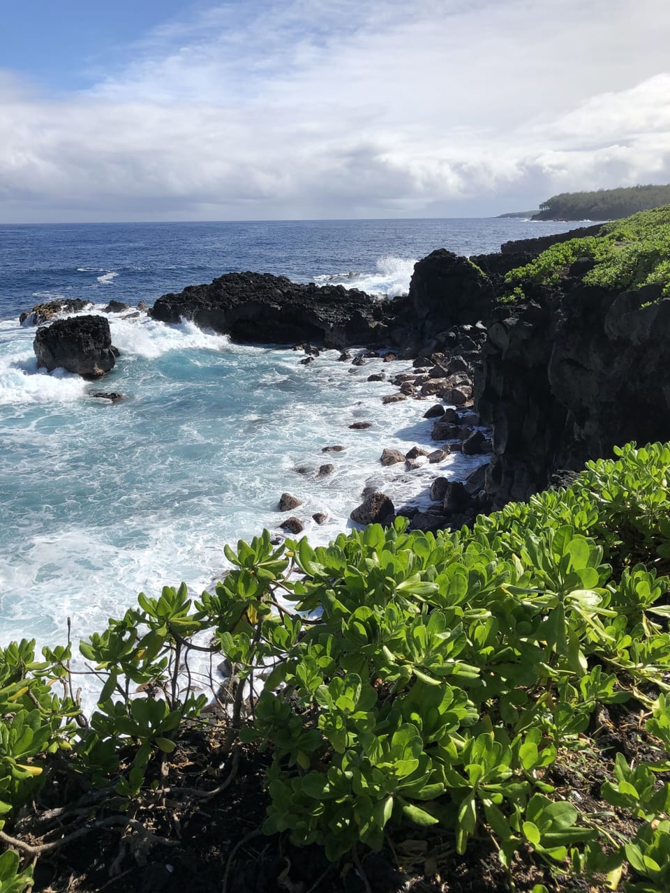 ocean cliffs- 6 blocks away