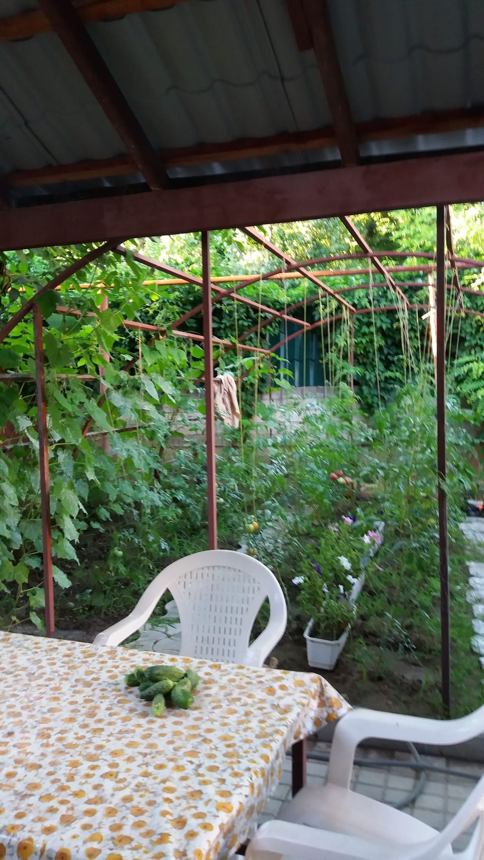 Property grounds