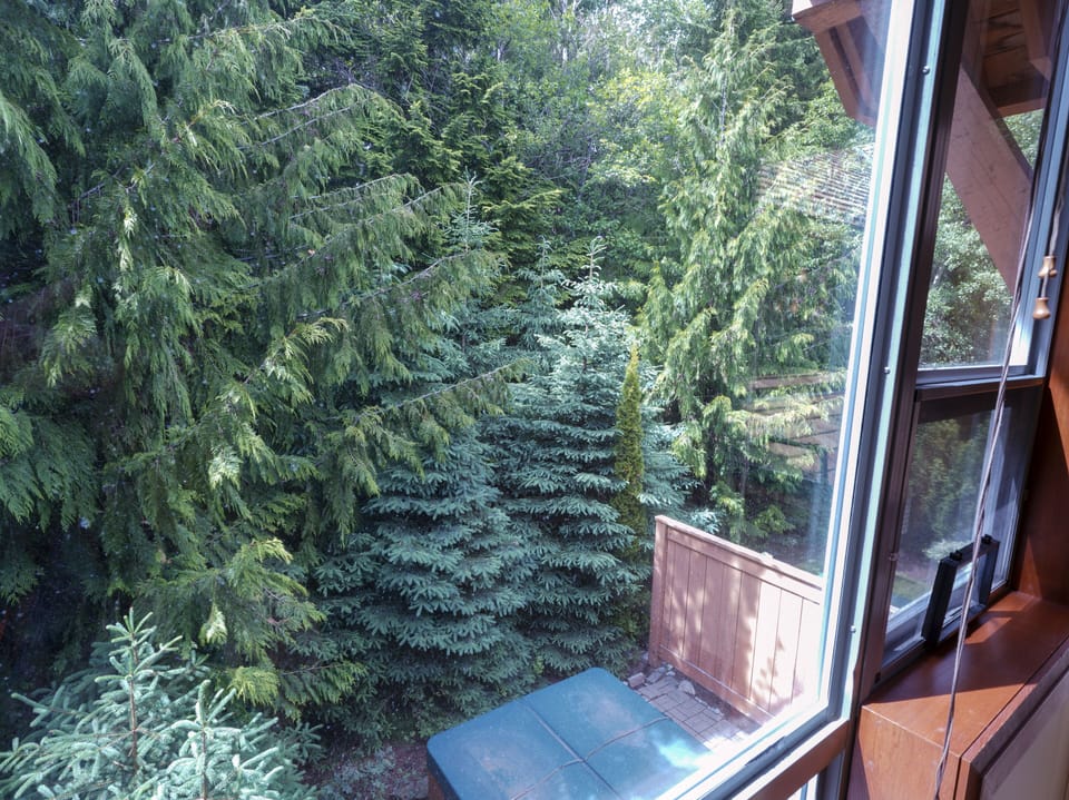 PRIVATE HOT TUB VIEWED FROM MASTER BEDROOM