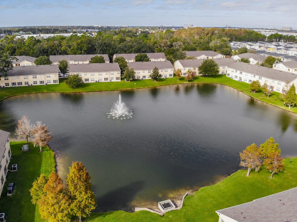 community top view