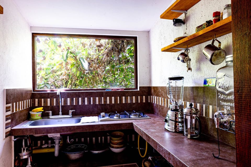 The kitchen with garden views. 